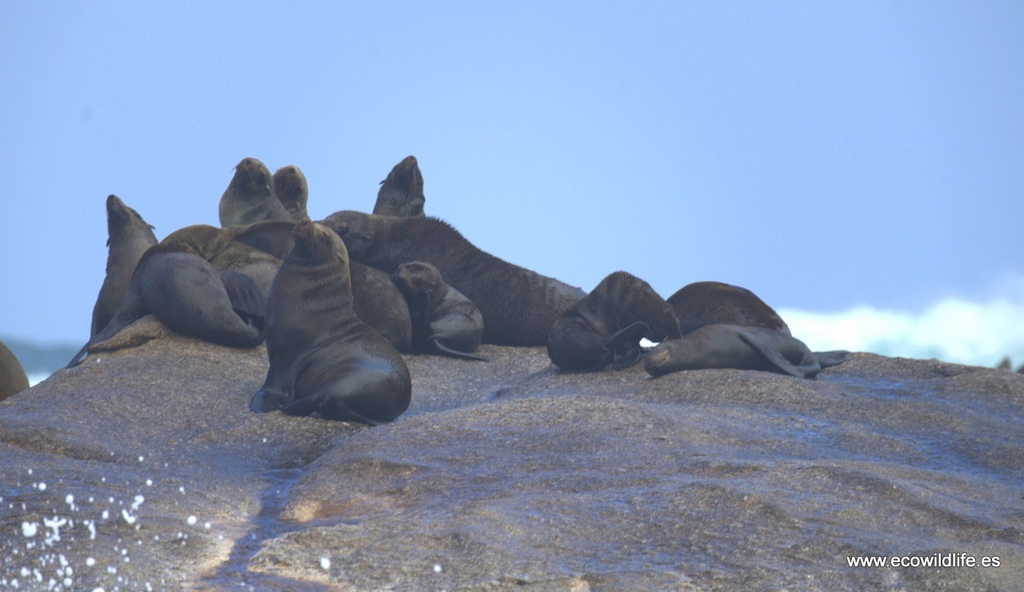 Namibia: Etnias, Paisajes y Fauna