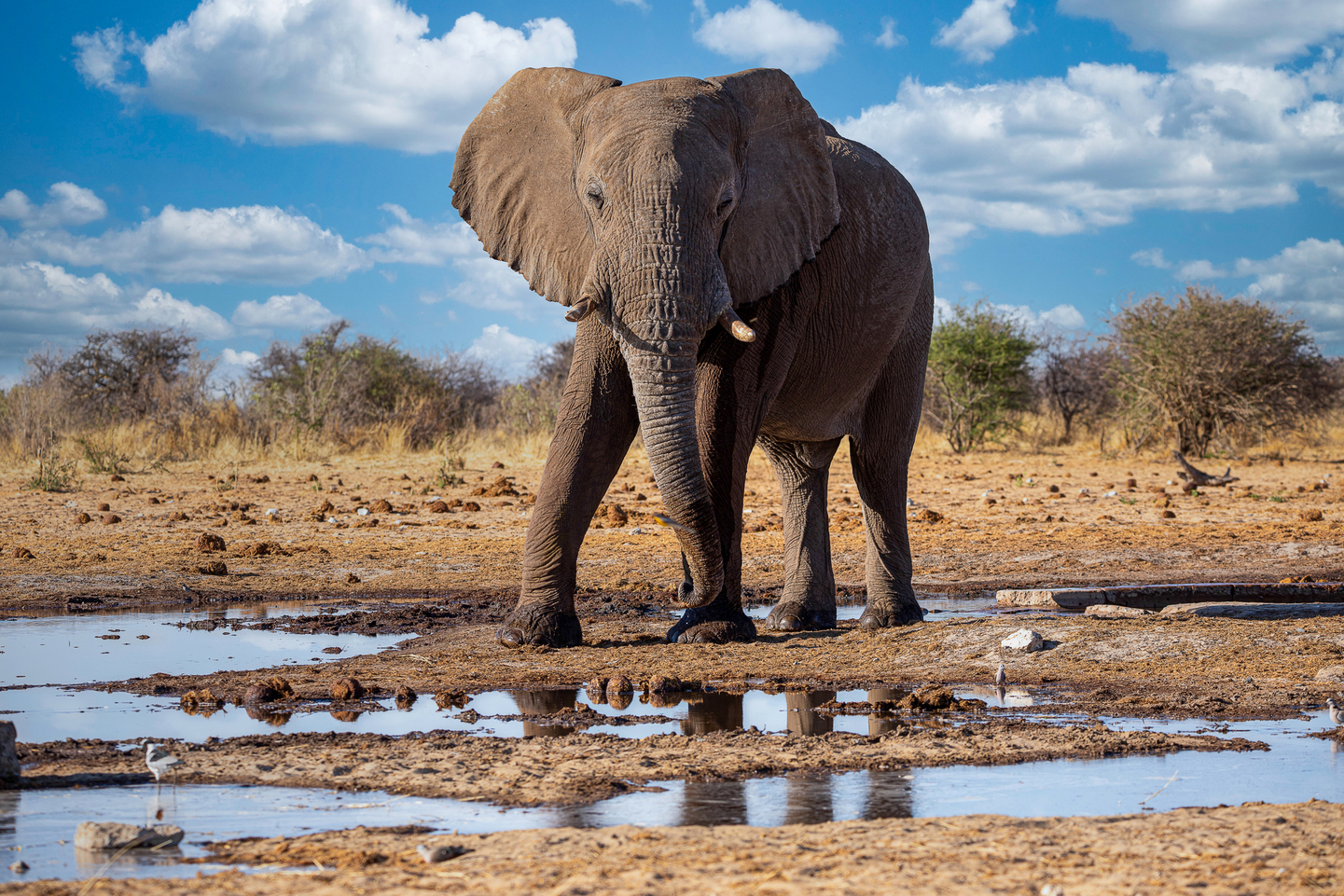 Namibia: Etnias, Paisajes y Fauna