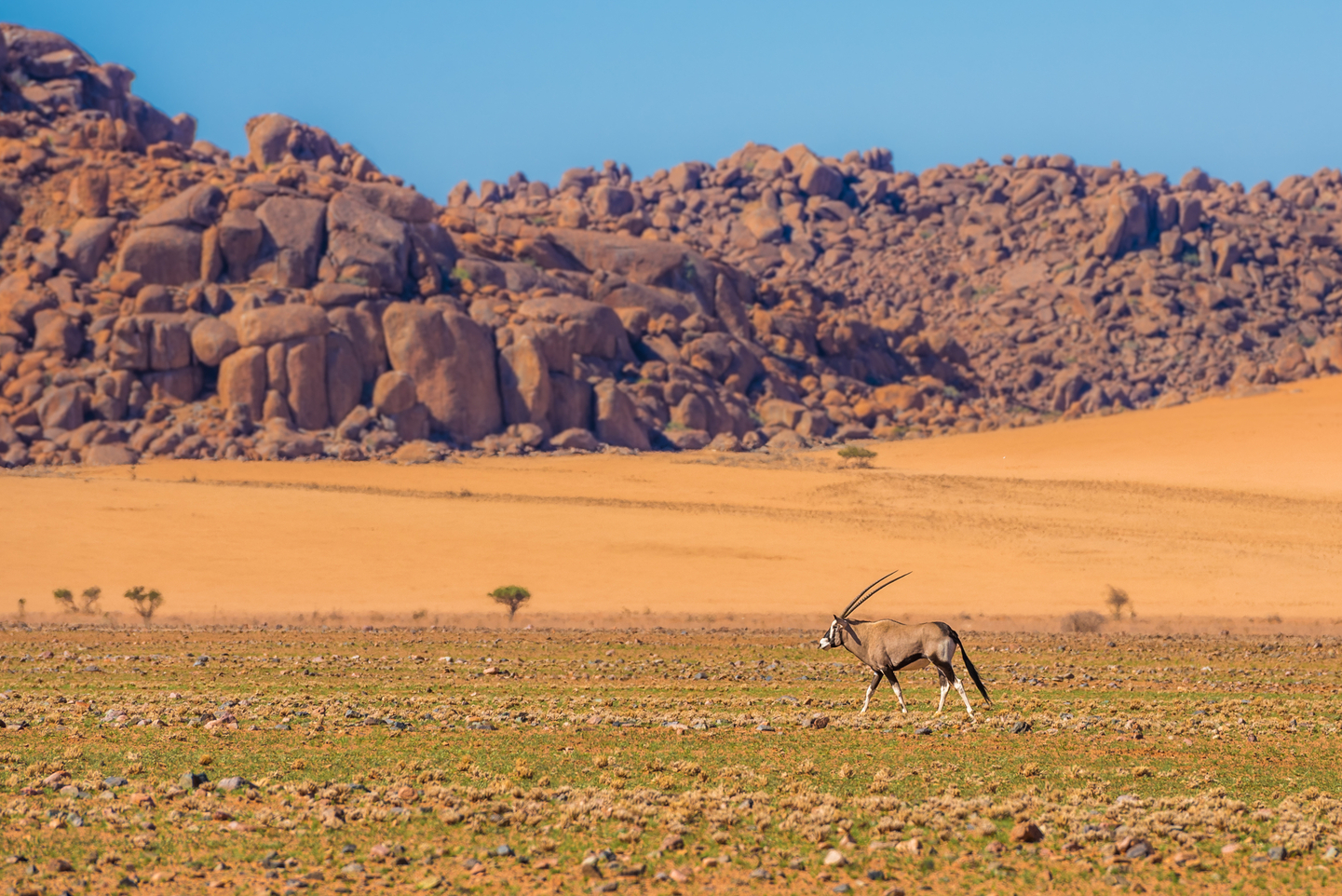 Namibia: Etnias, Paisajes y Fauna