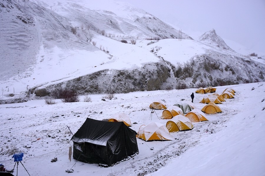 Himalayas: El Leopardo de las Nieves