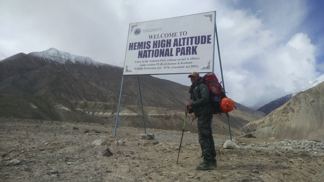 Himalayas: El Leopardo de las Nieves