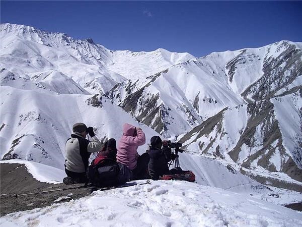 Himalayas: El Leopardo de las Nieves