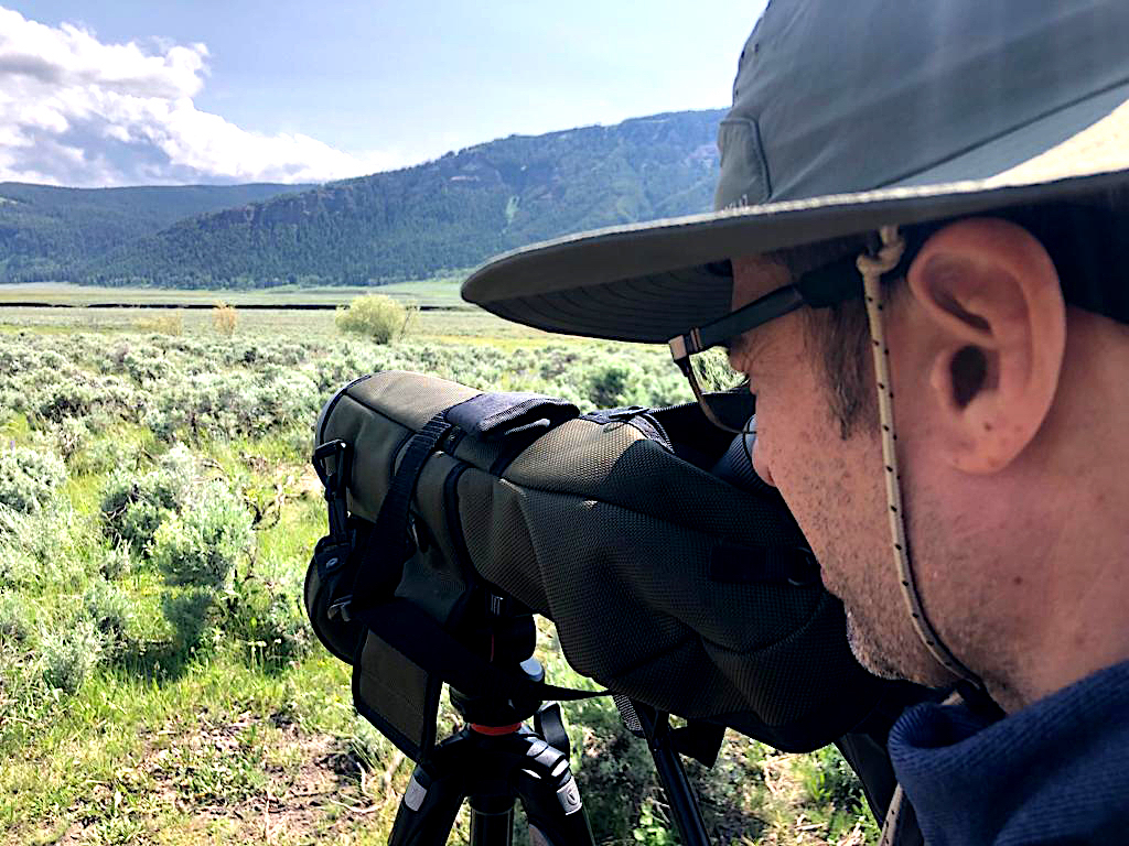 Estados Unidos: Expedición Parque Nacional Yellowstone