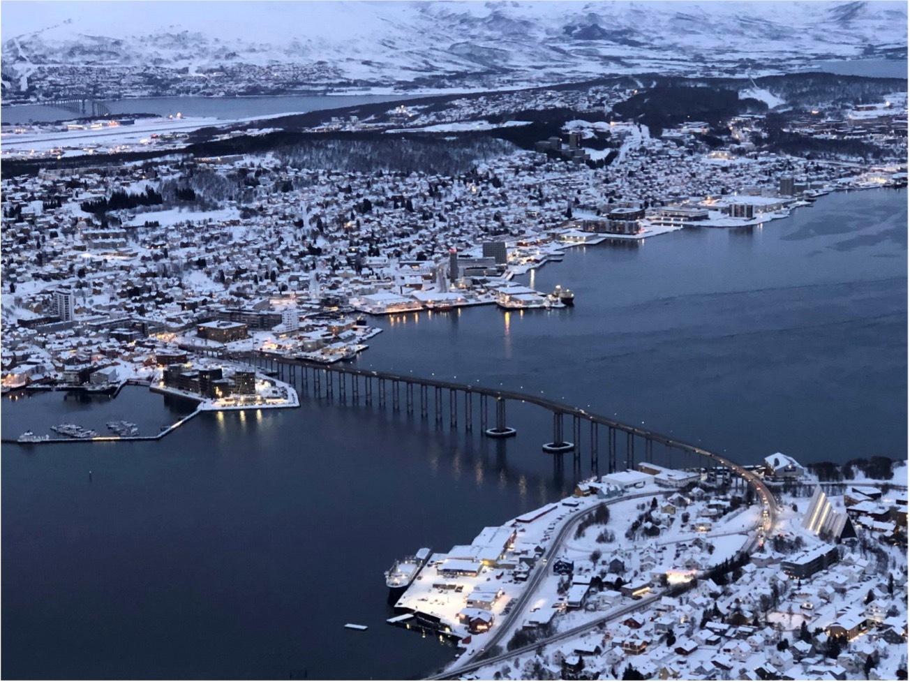 Noruega: Svalbard · Osos Polares y Auroras Boreales