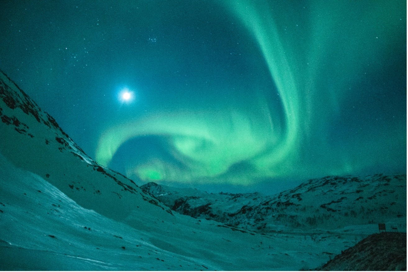 Noruega: Svalbard · Osos Polares y Auroras Boreales