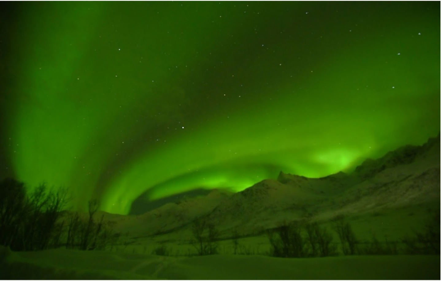 Noruega: Svalbard · Osos Polares y Auroras Boreales