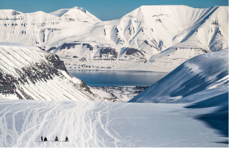 Noruega: Svalbard · Osos Polares y Auroras Boreales