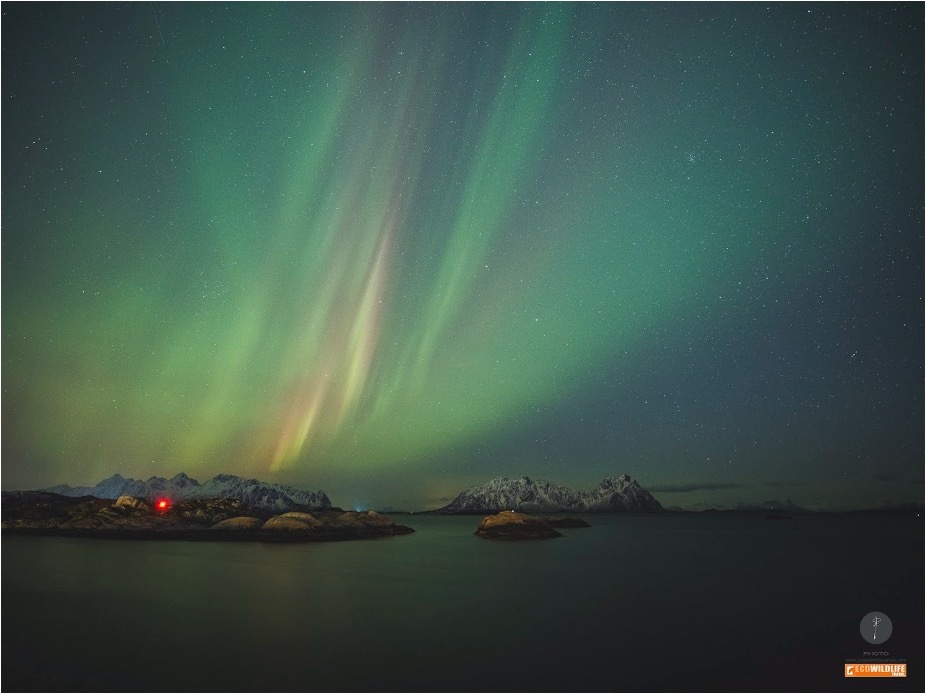 Noruega: Svalbard · Osos Polares y Auroras Boreales