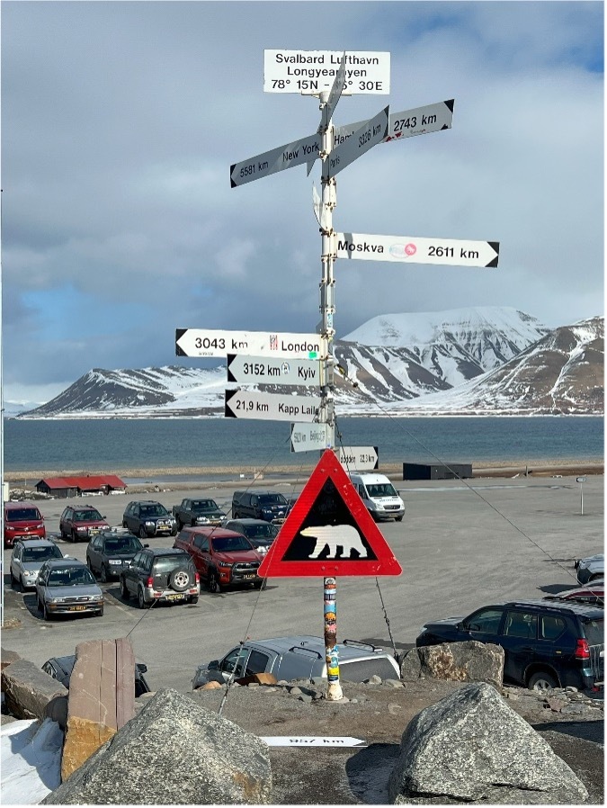 Noruega: Svalbard · Osos Polares y Auroras Boreales